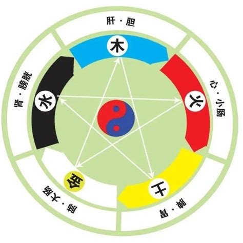 五行人格計算|快速瞭解你的五行屬性